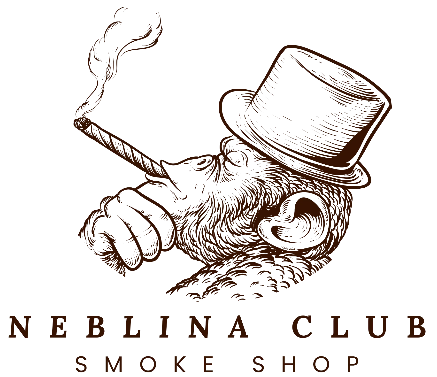 tabacaria-em-souzas-neblina-smoke-shop-pods-logo